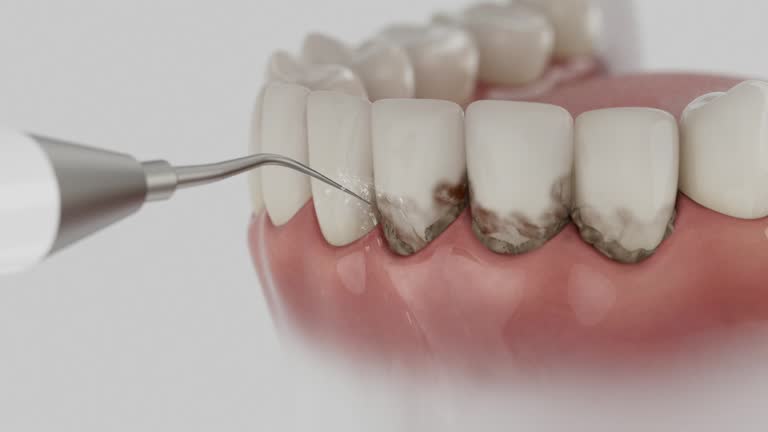 Reliable Dental contractor in Waldorf, MD by Dentist Open Now